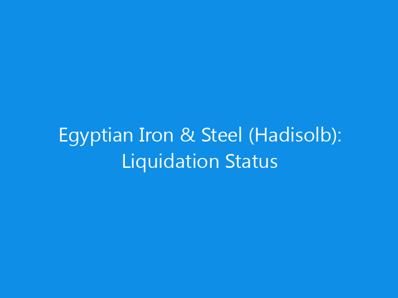 Egyptian Iron & Steel (Hadisolb): Liquidation Status 9 Egyptian Iron & Steel (Hadisolb): Liquidation Status