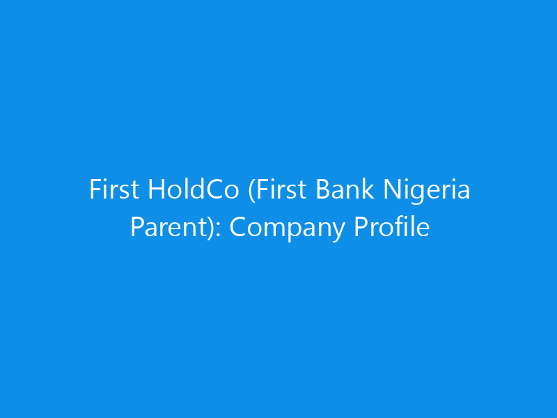 first holdco first bank nigeria parent company profile 6191 c4081 skyweb