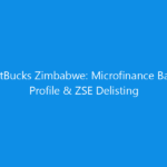 GetBucks Zimbabwe: Microfinance Bank Profile & ZSE Delisting 12 getbucks zimbabwe microfinance bank profile zse delisting 6417 96af9 skyweb
