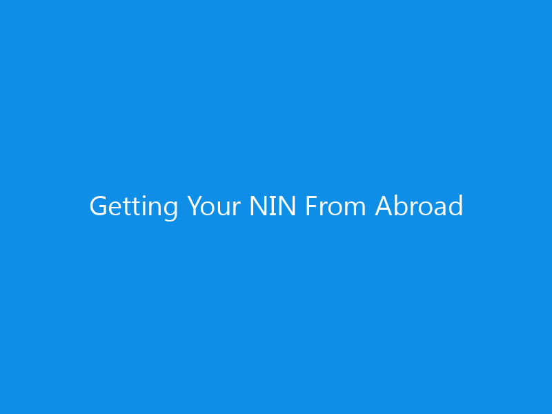 Getting Your NIN From Abroad 4 Getting Your NIN From Abroad