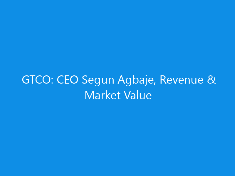 gtco ceo segun agbaje revenue market value 6308 0017d skyweb
