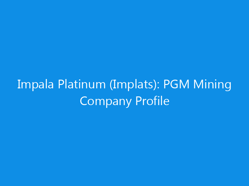 Impala Platinum (Implats): PGM Mining Company Profile 1 impala platinum implats pgm mining company profile 6152 761a4 skyweb