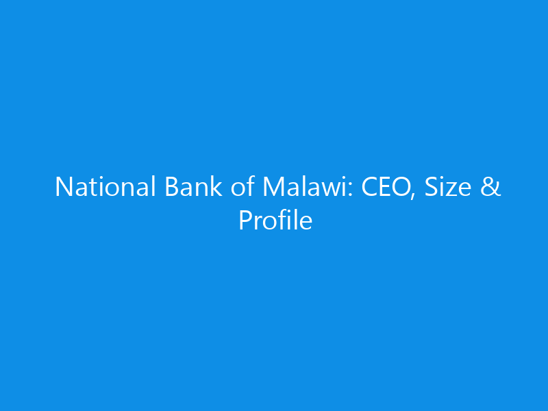 national bank of malawi ceo size profile 6363 041a8 skyweb