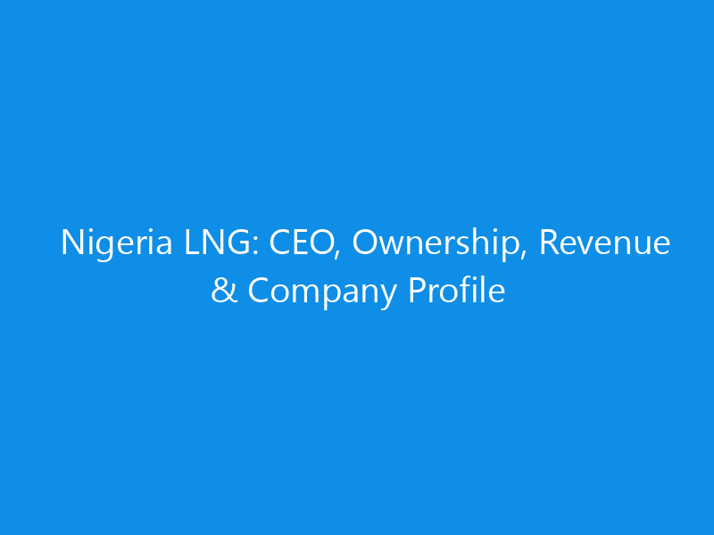 nigeria lng ceo ownership revenue company profile 6136 7eb39 skyweb
