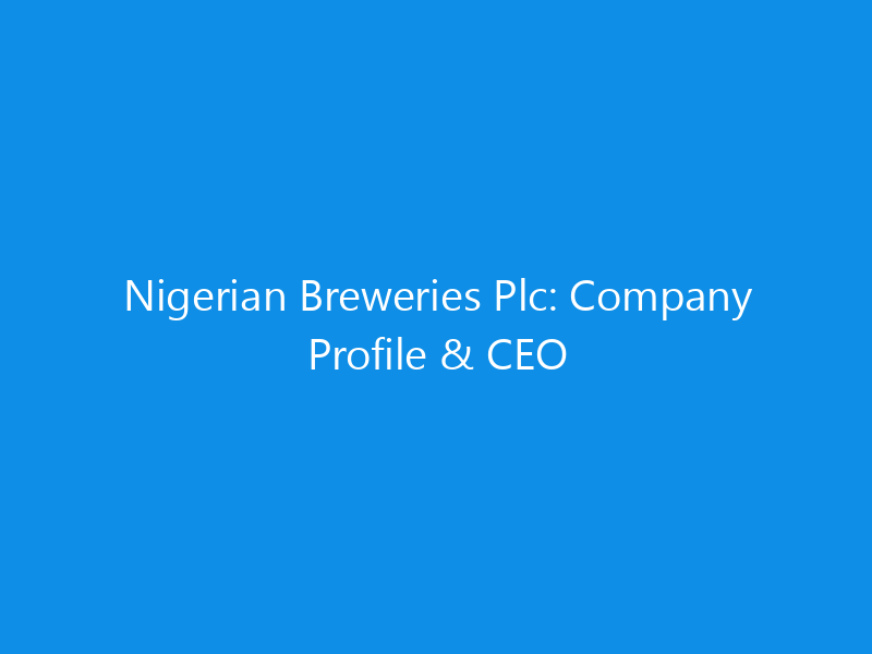 Nigerian Breweries Plc: Company Profile & CEO 1 nigerian breweries plc company profile ceo 6257 4dac7 skyweb