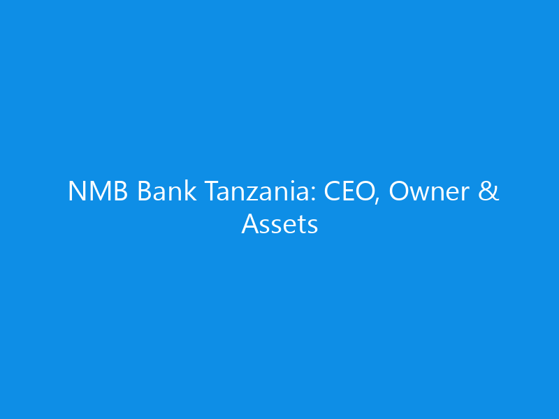 nmb bank tanzania ceo owner assets 6333 7377f skyweb