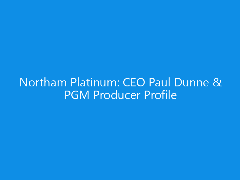 northam platinum ceo paul dunne pgm producer profile 6210 a13be skyweb