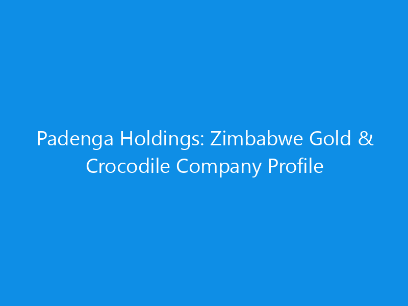 padenga holdings zimbabwe gold crocodile company profile 6370 10e68 skyweb
