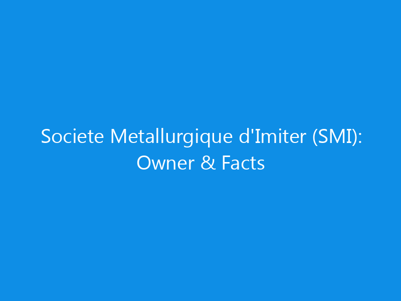 Societe Metallurgique d'Imiter (SMI): Owner & Facts 9 Societe Metallurgique d’Imiter (SMI): Owner & Facts