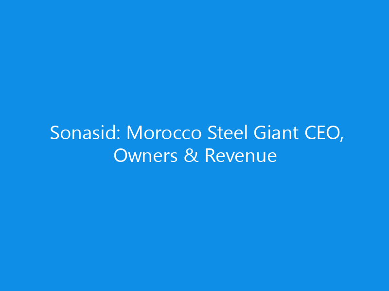 sonasid morocco steel giant ceo owners revenue 6264 ec7de skyweb