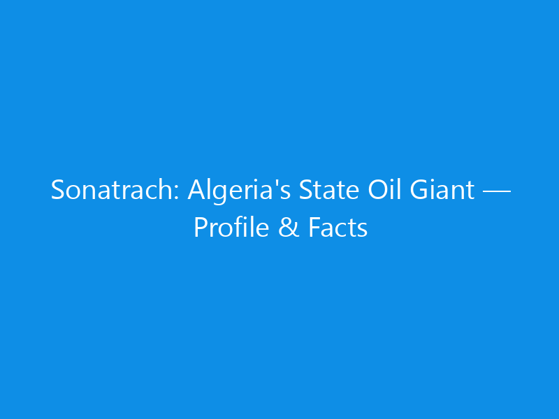 Sonatrach: Algeria's State Oil Giant — Profile & Facts 1 sonatrach algerias state oil giant profile facts 6120 c0661 skyweb