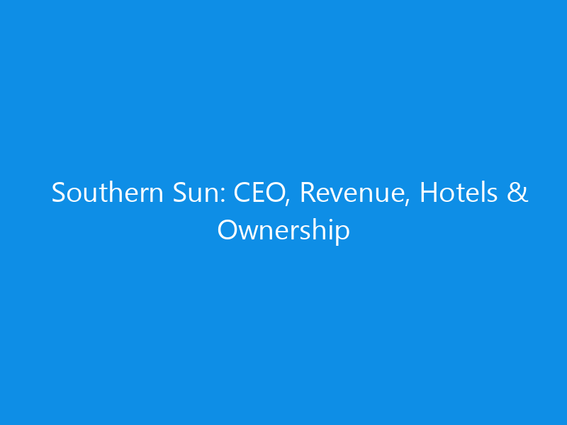 southern sun ceo revenue hotels ownership 6291 ce3de skyweb