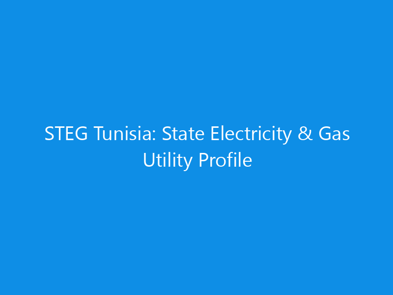 STEG Tunisia: State Electricity & Gas Utility Profile 1 steg tunisia state electricity gas utility profile 6202 f1397 skyweb