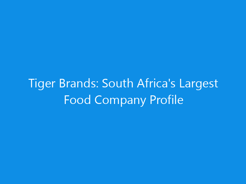 Tiger Brands: South Africa's Largest Food Company Profile 1 tiger brands south africas largest food company profile 6193 be21b skyweb